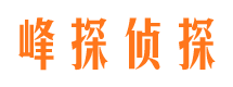 上甘岭市调查公司